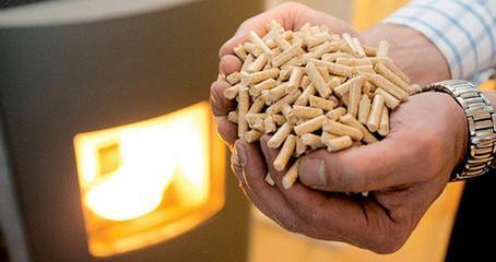 生物質顆粒燃料 生物質顆粒燃料