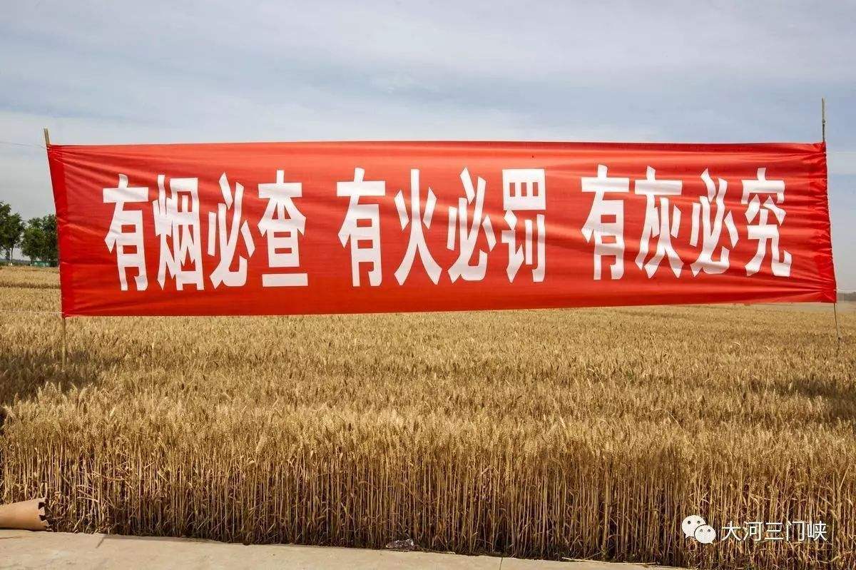 國家采取禁燒秸稈政策 國家采取禁燒秸稈政策