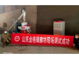 廊坊秸稈顆粒機開啟高光時刻