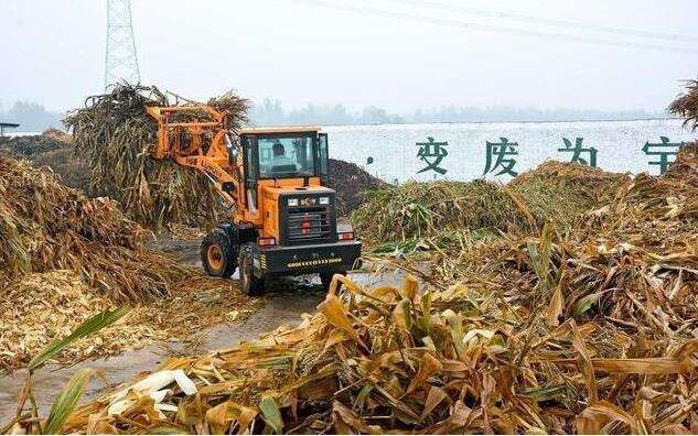 黑土地上的‘秸稈經紀人’要讓秸稈牛起來,變成‘寶’ 黑土地上的‘秸稈經紀人’要讓秸稈牛起來,變成‘寶’