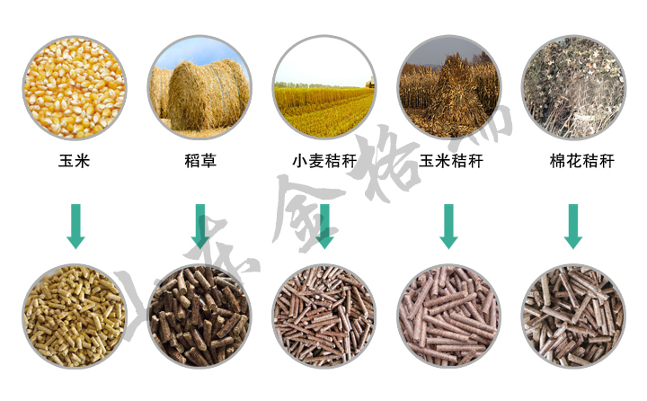 玉米秸稈顆粒機原材料 玉米秸稈顆粒機原材料
